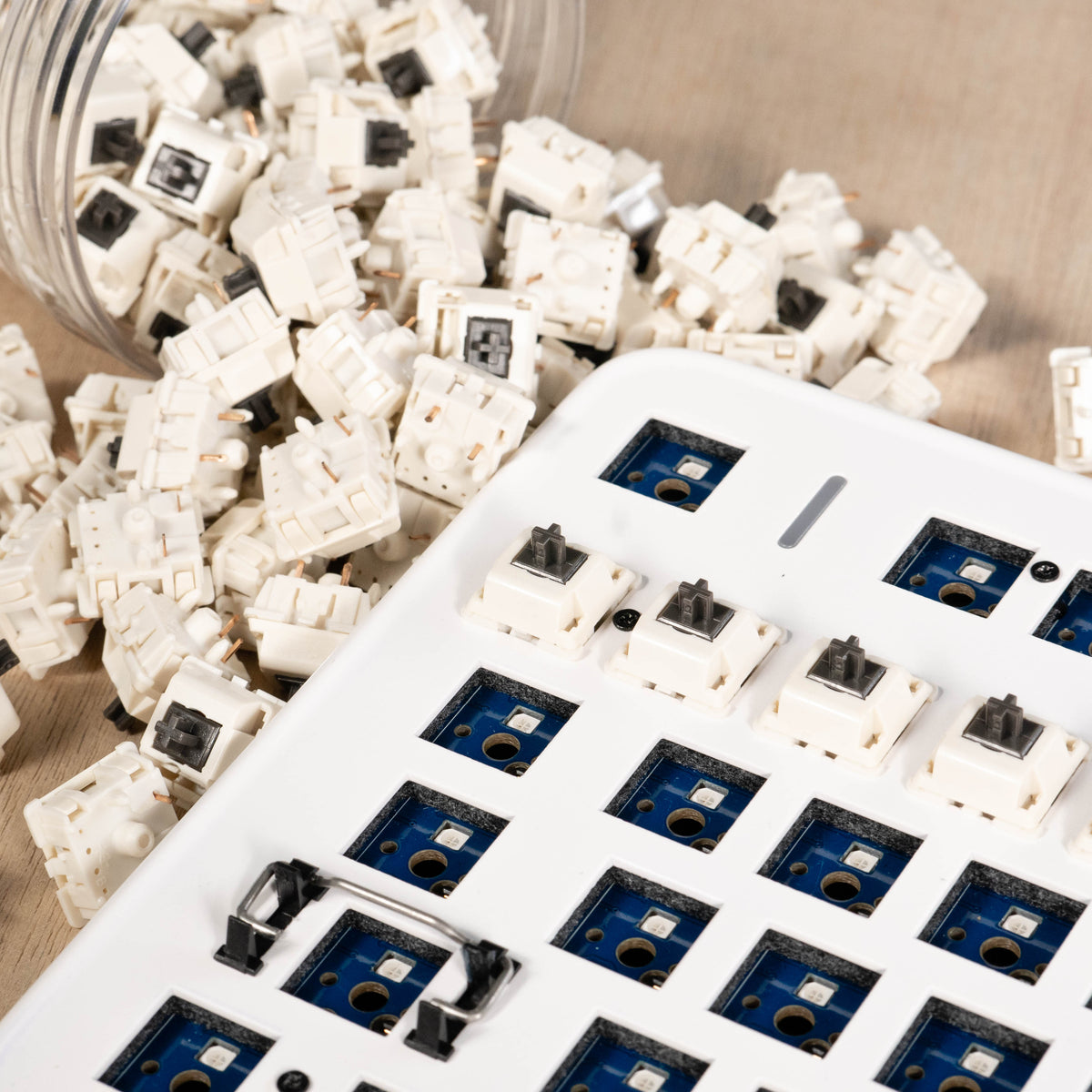 Koala Tactile Switches