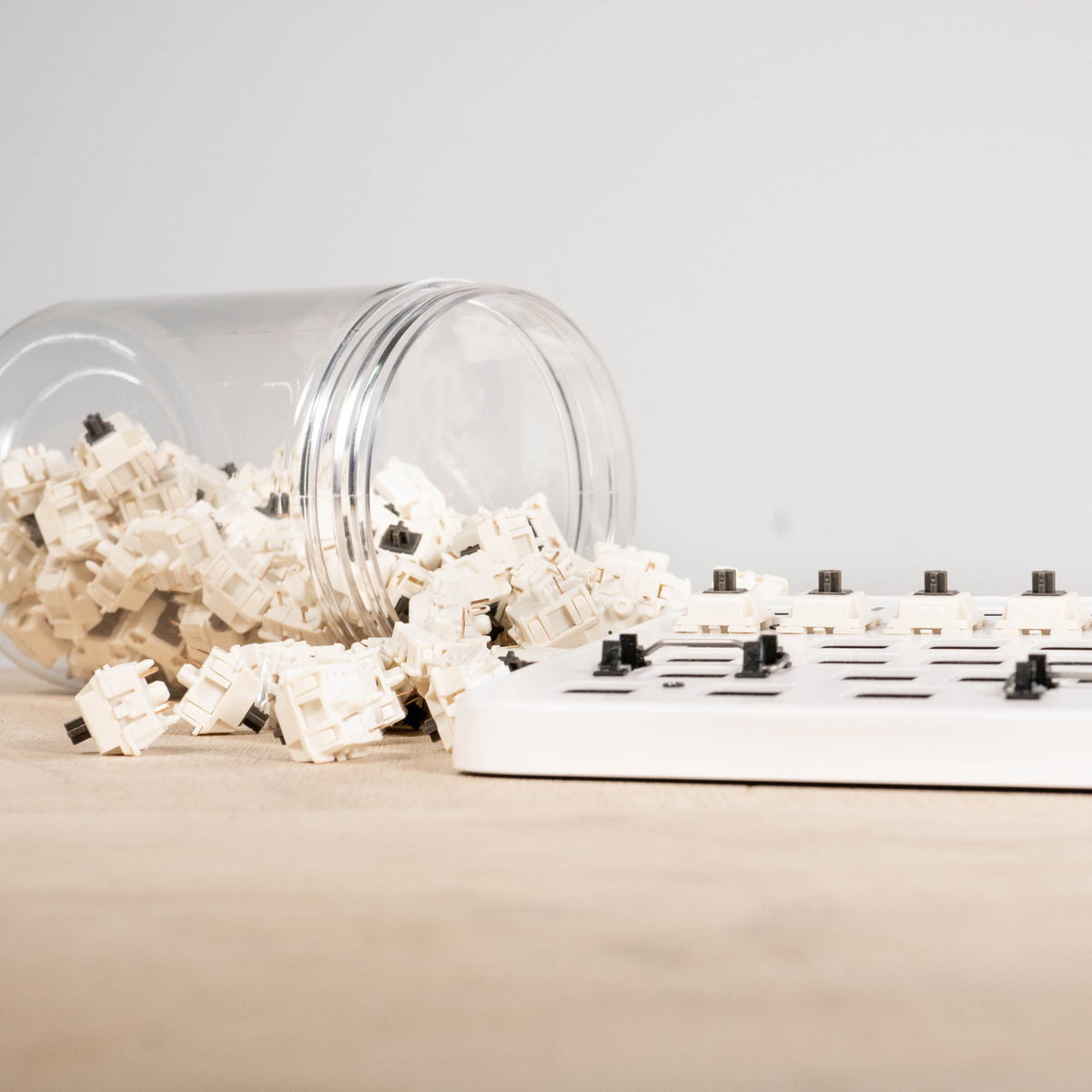 Koala Tactile Switches