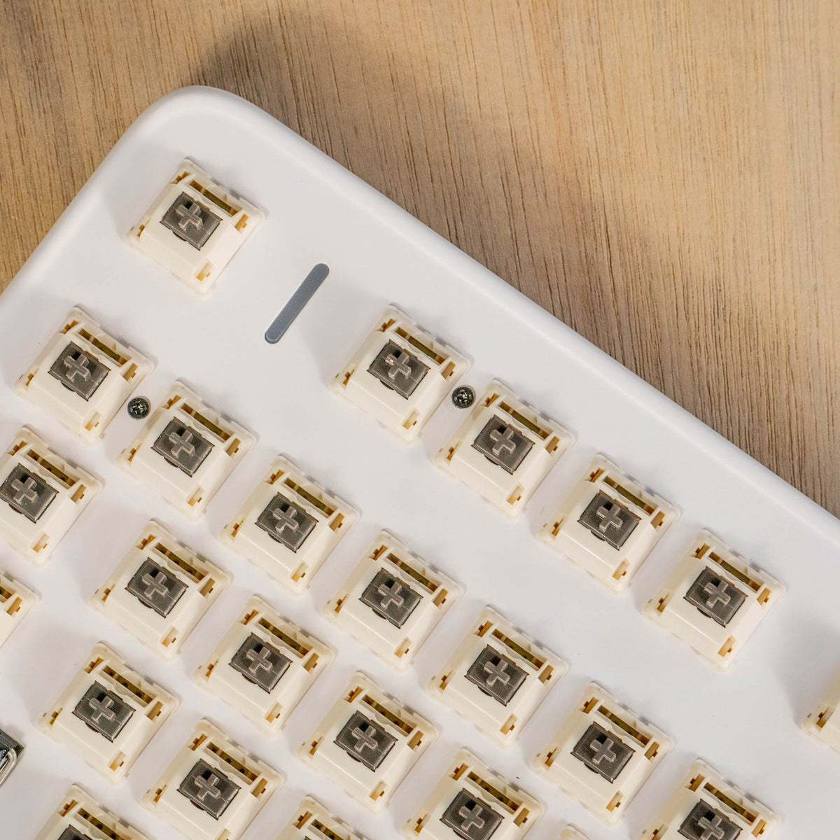 Koala Tactile Switches