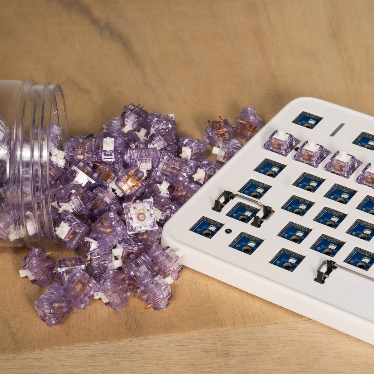 Lavender Linear Switches