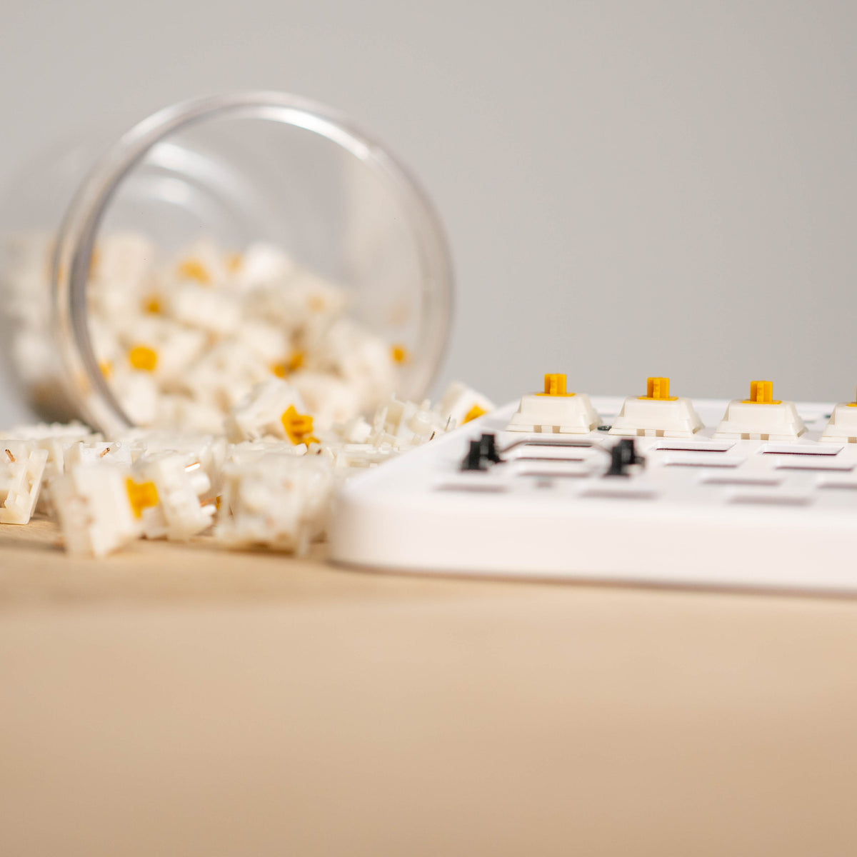 Gazzew Boba U4T Thocky Tactile Switches